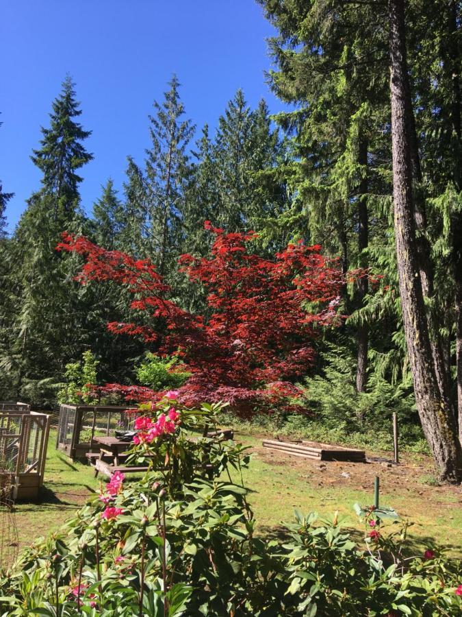 Cedar Song B&B Parksville Eksteriør bilde