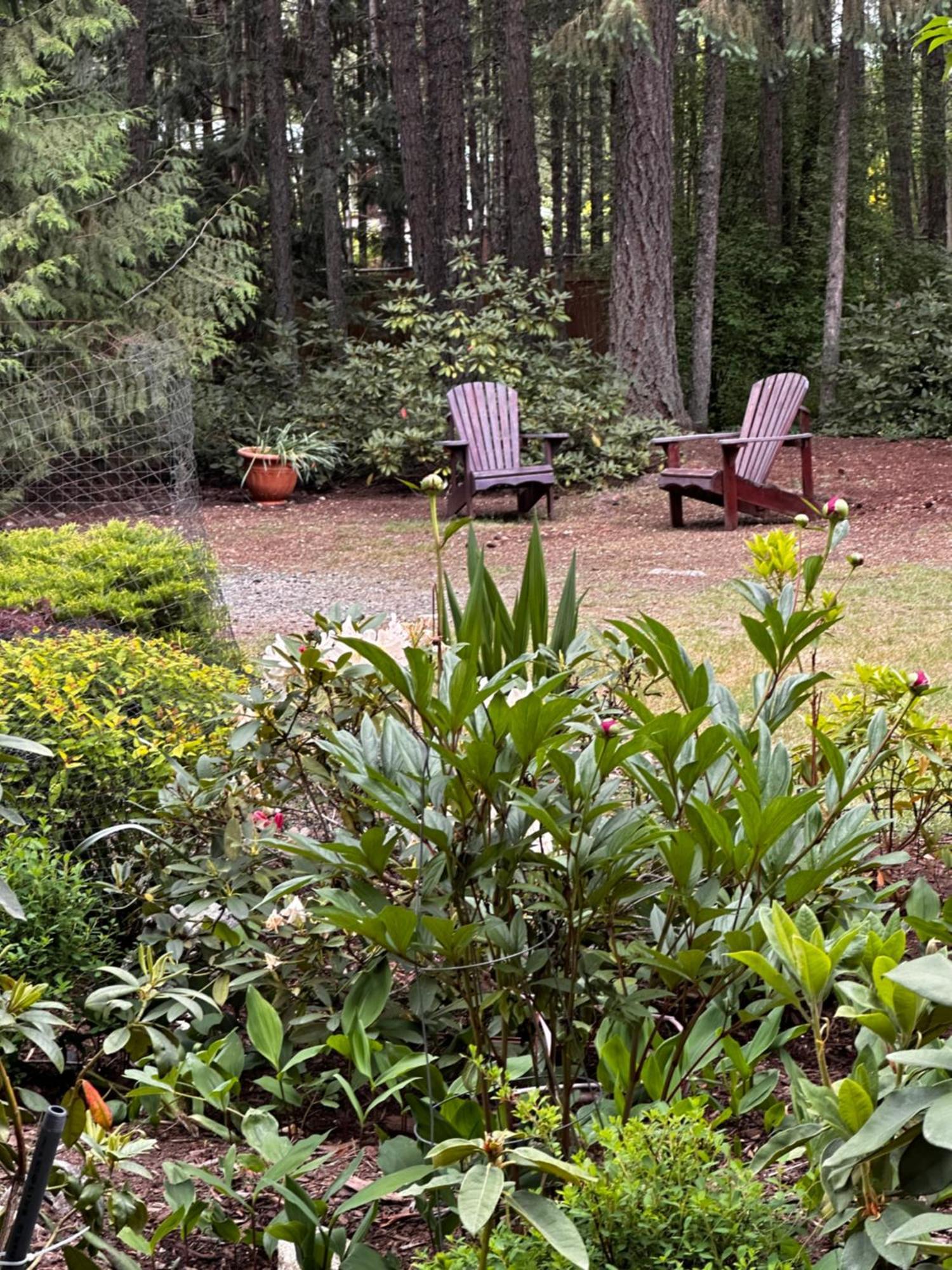 Cedar Song B&B Parksville Eksteriør bilde