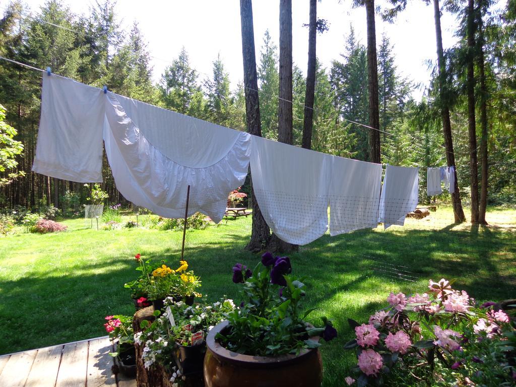 Cedar Song B&B Parksville Eksteriør bilde