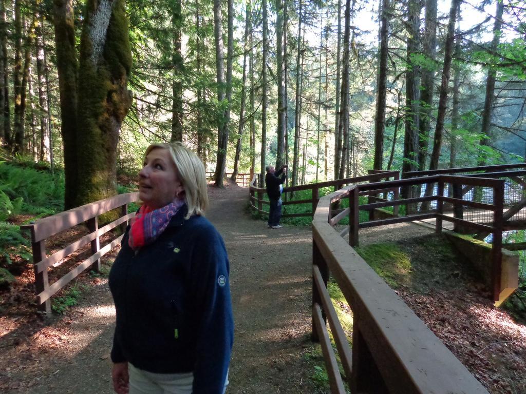 Cedar Song B&B Parksville Eksteriør bilde